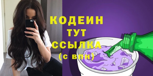 эйфоретик Алзамай