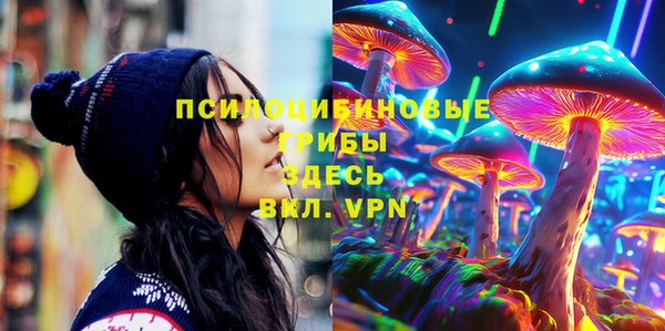 эйфоретик Алзамай