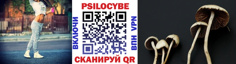 Псилоцибиновые грибы мицелий  где можно купить наркотик  Белоозёрский 